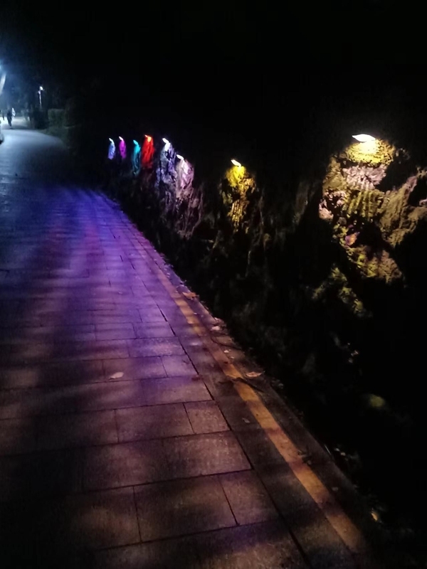 लैंडस्केप के लिए बाहरी RGB सजावटी के लिए IP65 सोलर फेंस फ्लड लाइट्स