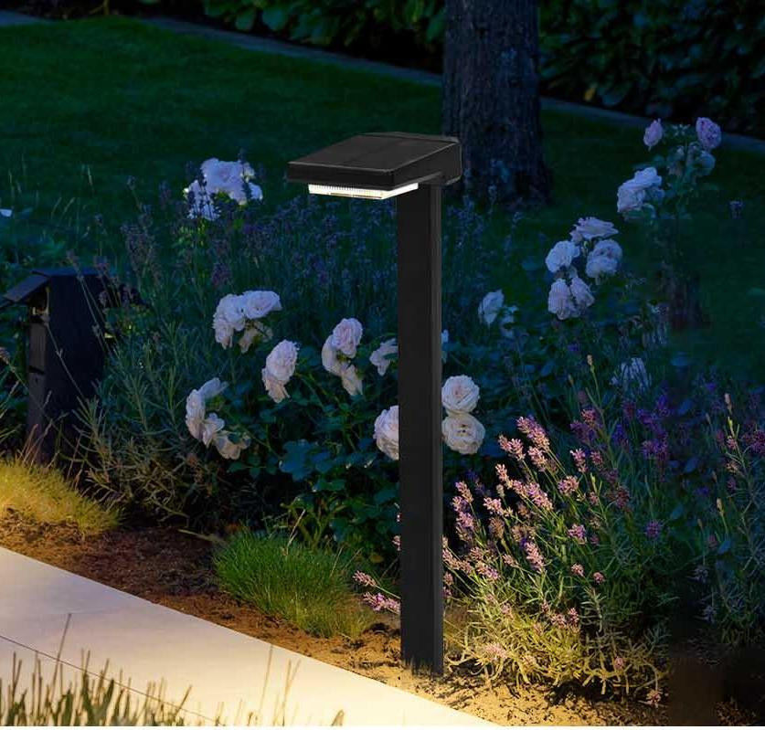 सौर ऊर्जा संचालित एलईडी स्टिक लाइट्स ऑटो ऑन/ऑफ के साथ 6 पीसी एलईडी आईपी 65 वाटरप्रूफ