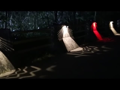 सोलर गार्डन वॉल लाइट्स KF14A