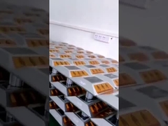 पाथवे सेफ्टी के लिए वाटरप्रूफ टिकाऊ सोलर पिलर रोड स्टड